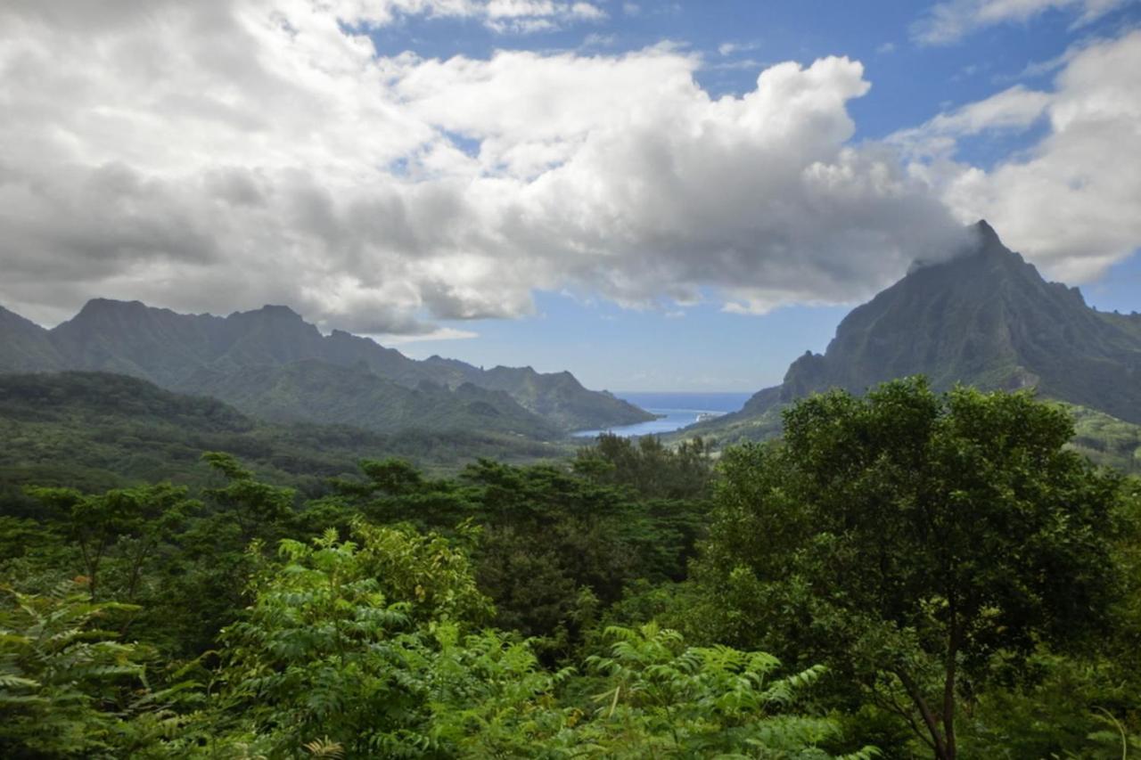 Auti Studio Direct Access To The Beach On Moorea With Ac -Wifi - Netflix Apartment Haapiti Ngoại thất bức ảnh