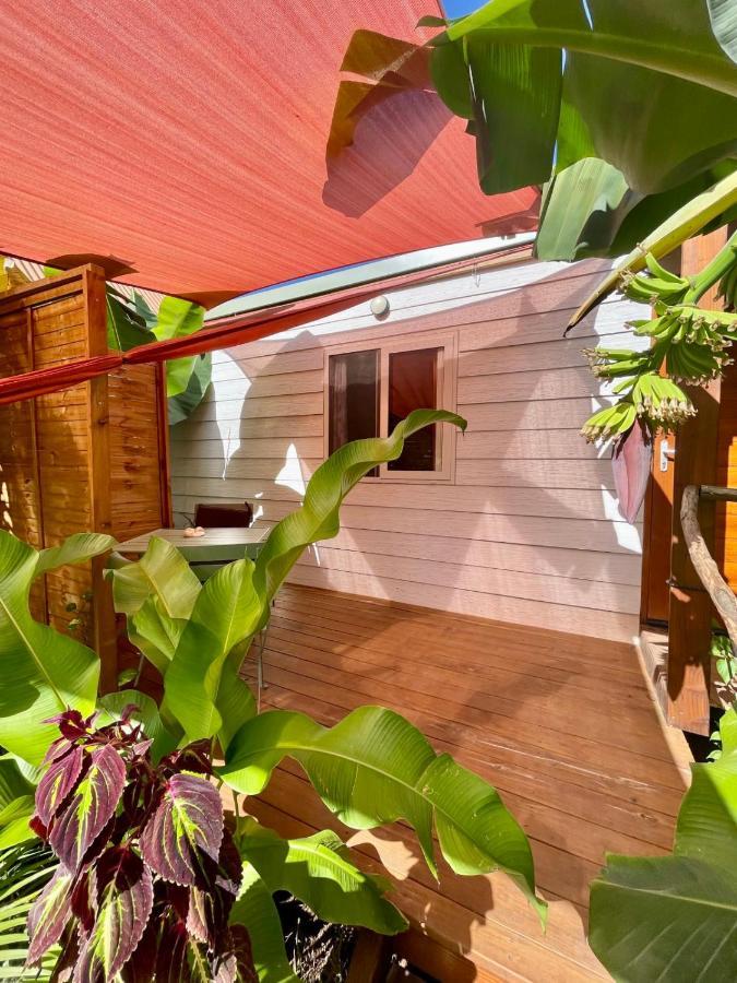 Auti Studio Direct Access To The Beach On Moorea With Ac -Wifi - Netflix Apartment Haapiti Ngoại thất bức ảnh